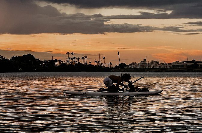 1-Hour Condado Lagoon Paddleboard Rental in San Juan - What you’ll actually do on the water