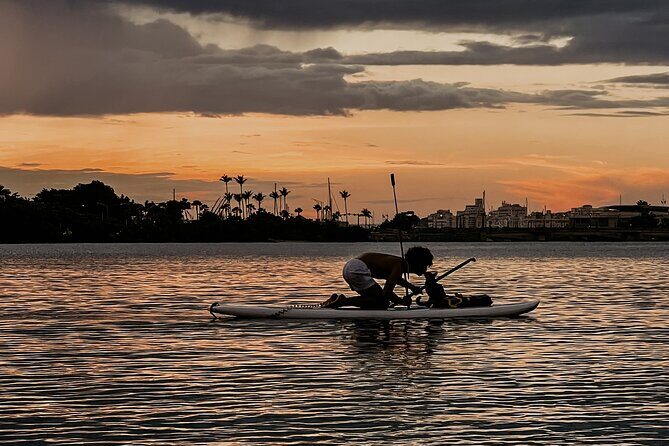 1-Hour Condado Lagoon Paddleboard Rental in San Juan - Who should book this (and who might not love it)
