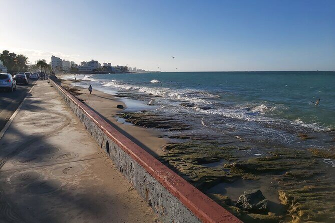 Airport Transfer to Cruise Ships, Hotels, Airbnb in San Juan - When the timing really matters most