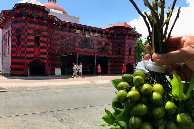 Around the Island Tour From San Juan - Key highlights you’ll feel in your day