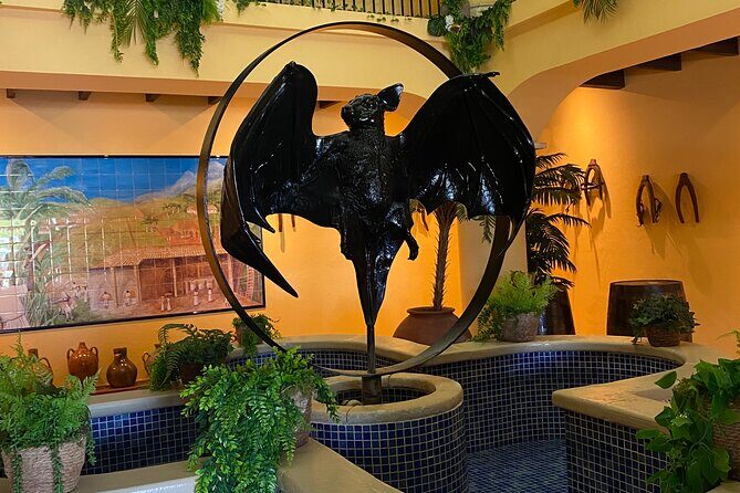 Bacardi Rum Distillery and Old San Juan Tour - Practical tips for a smoother day (especially in Puerto Rico heat)