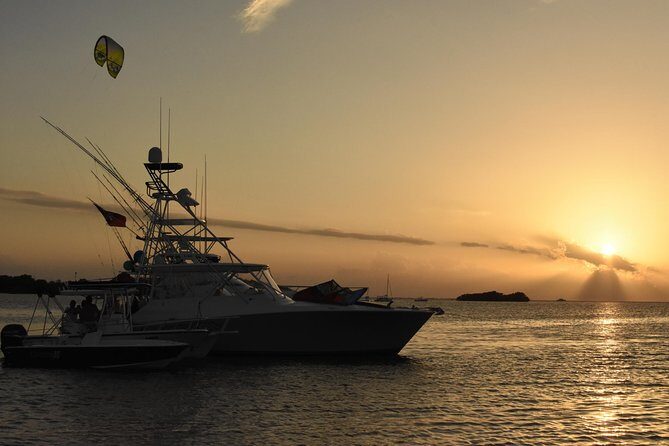 Bio Bay Magic and Rum Tasting Tour from San Juan - Key highlights you’ll want to know