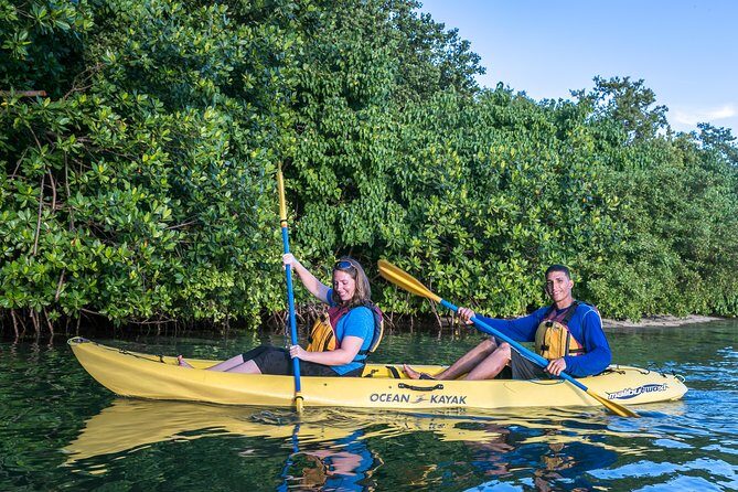 Bio Bay Night Kayak Tour with Transport from San Juan - Getting from San Juan to Las Cabezas de San Juan: transport and timing