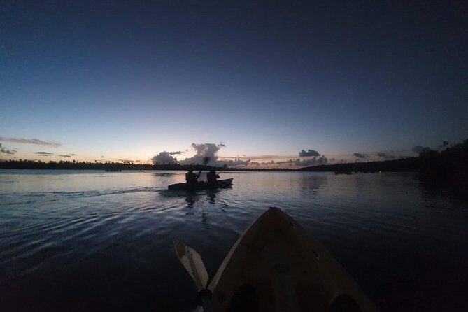 Bio Bay Night Kayak Tour with Transport from San Juan - Making the glow happen: darkness, moon phases, and weather reality