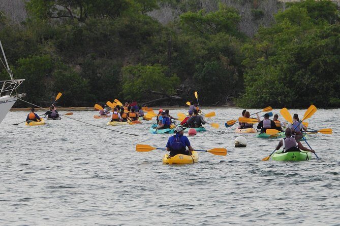 Bio Bay Night Kayak Tour with Transport from San Juan - Who should book this Bio Bay kayak tour, and who should skip it