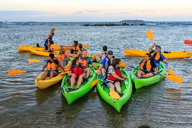 Bio Bay Night Kayaking with Transport from San Juan Area - Spotting Bioluminescence: Tarps, Moon Phase, and Why Your Night Might Look Different