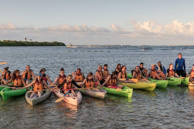 Bio Bay Night Kayaking with Transport from San Juan Area - What’s Included, What Isn’t, and How to Pack Smart