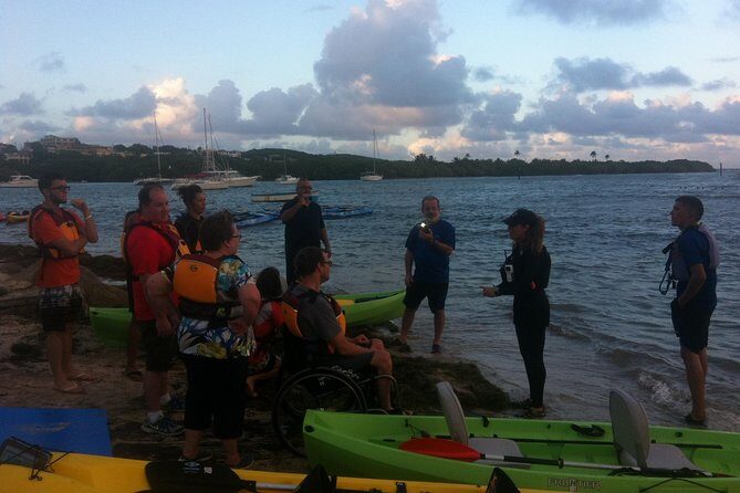 Bio Bay Night Kayaking with Transport from San Juan Area - The Cost: Is $125 Worth It for a 5-Hour Night?
