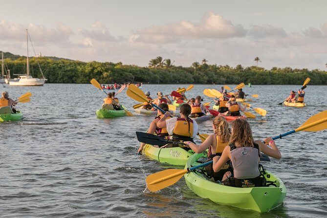 Bio Bay Night Kayaking with Transport from San Juan Area - Guides, Safety, and the Adaptive Paddling Program