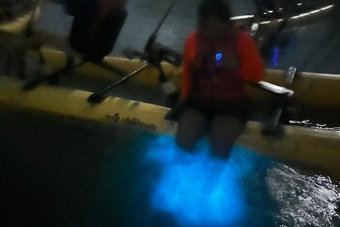 Bioluminescent Bay Chiliboats Waterbike Tour in La Parguera - La Parguera Bioluminescent Bay: The Magic Part (and the Real Science)