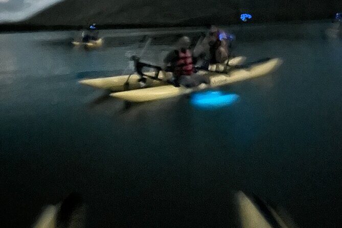 Bioluminescent Bay Chiliboats Waterbike Tour in La Parguera - Stop 1: Bahia Fosforescente and the Blue-Green Glow Under Your Feet