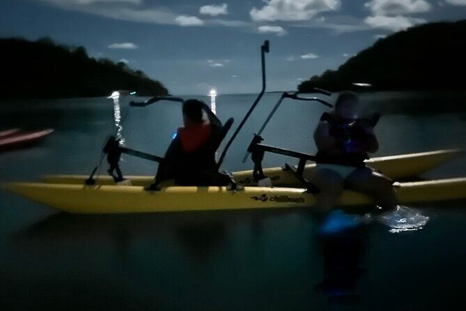 Bioluminescent Bay Chiliboats Waterbike Tour in La Parguera - Guides and Eco-Respect: How the Tour Stays Worth It