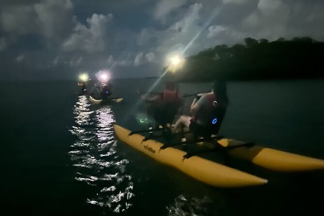 Bioluminescent Bay Chiliboats Waterbike Tour in La Parguera - Who This Tour Fits Best (and Who Should Think Twice)