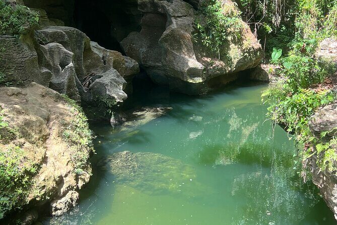 Cave Adventure: Canyon and Hidden Waterfall in Charco Azul - Cliff jumps: fun, but only if you respect the rules