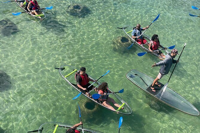 Clear Kayak Tour in Condado Lagoon - Key things that make this tour worth your morning