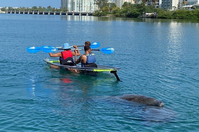 Clear Kayak Tour in Condado Lagoon - Duration, pacing, and group size: why max 16 feels right