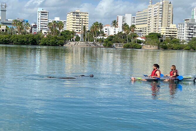 Clear Kayak Tour in Condado Lagoon - Price and value: is $59 a fair trade for an hour?