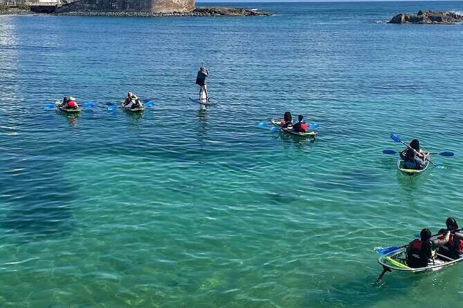 Clear Kayak Tour in Condado Lagoon - Who should book this (and who might choose differently)