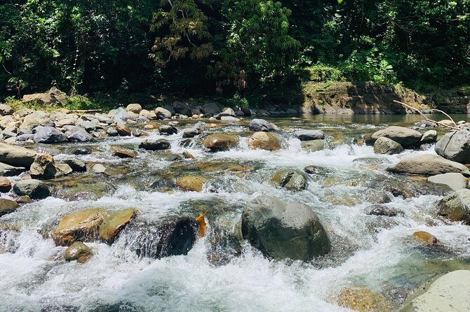 Concrete Jungle to the Actual Jungle, The Complete Package Tour - Private-tour perks: pace, comfort, and real flexibility