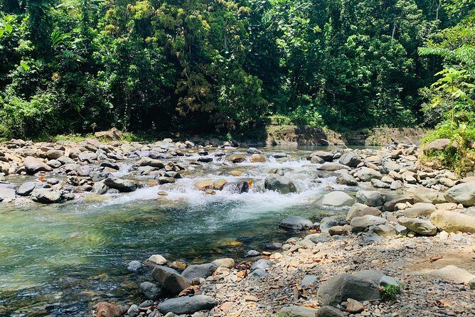 Concrete Jungle to the Actual Jungle, The Complete Package Tour - The coast and a beach photo stop before you hit the jungle