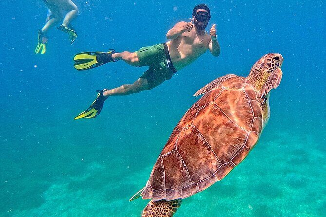Culebra Swim with Turtles Adventure and Flamenco Beach by Ferry - Culebra by ferry: a long day, built for swimmers