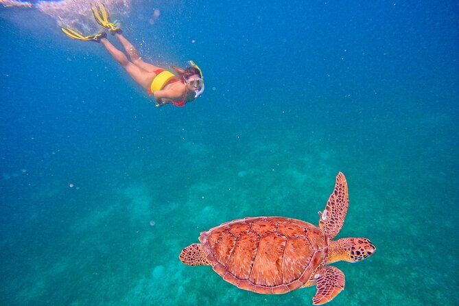 Culebra Swim with Turtles Adventure and Flamenco Beach by Ferry - Flamenco Beach: 3 hours to walk, swim, and plan your lunch