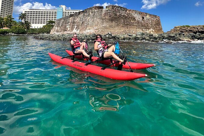 Day Adventure Chiliboats Waterbike – Condado Lagoon - Wildlife You Can Actually Look For (Without Stressing)