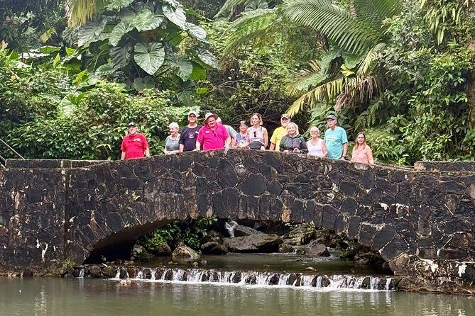 Discover El Yunque National Park: Half-Day Rainforest Tour - Stop 3: Yokahú Tower—views plus close-up plant life