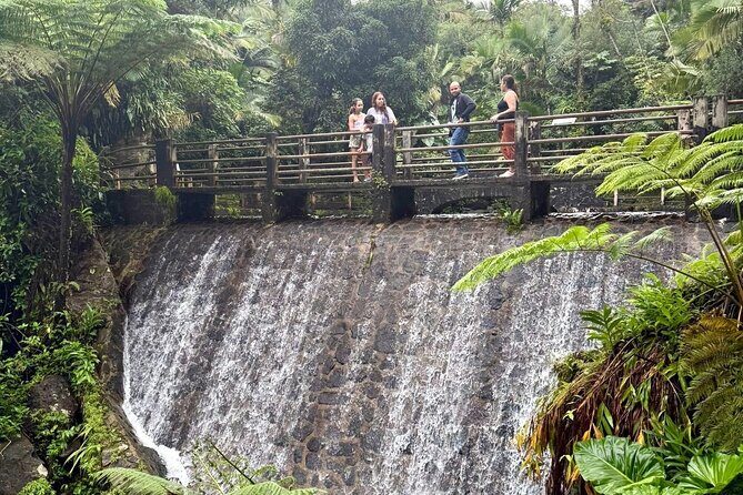Discover El Yunque National Park: Half-Day Rainforest Tour - How “no hiking” really feels on the ground