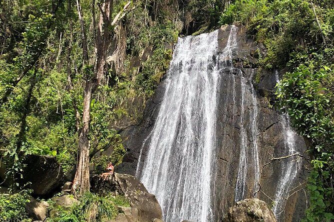 Discover El Yunque National Park: Half-Day Rainforest Tour - Stop 1: El Portal Visitor Center and the rainforest you can actually understand