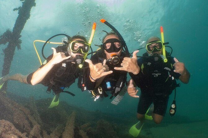 Discover Scuba Diving in San Juan - Escambrón Marine Park: the “protected bay” you’re actually learning in