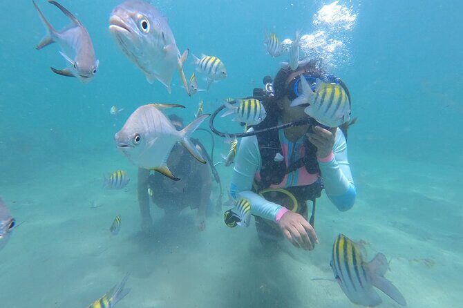 Discover Scuba Diving in San Juan: Perfect for First-Time Divers - Key things to know before you go