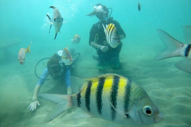 Discover Scuba Diving in San Juan: Perfect for First-Time Divers - How the timing and group size affect your comfort
