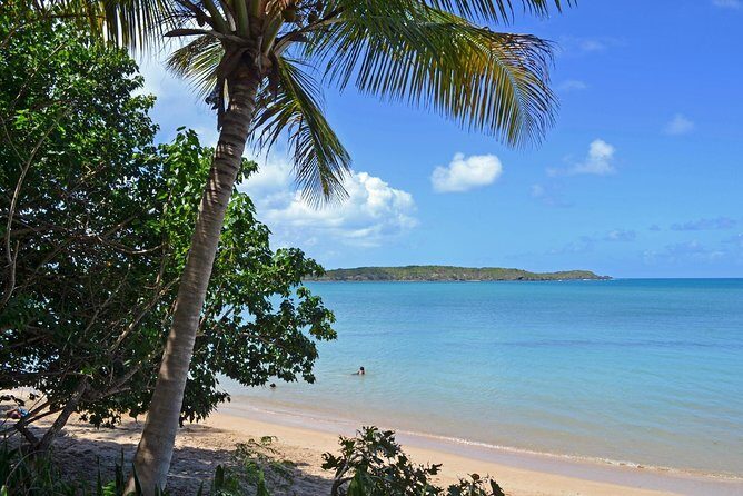 Discover Scuba Diving in San Juan: Perfect for First-Time Divers - Who should book this first-time scuba session
