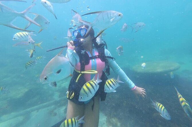 Discover Scuba Diving in San Juan: Perfect for First-Time Divers - The safety class: calm, structured scuba basics