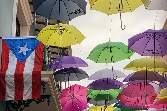 Discovering Puerto Rico: Lifestyle, Art, and Cultural Tour - What Makes the Guide Matter in Art and Culture Tours