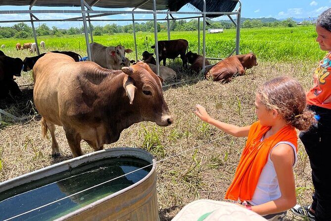 Eco Friendly Farming Tour to Explore Dorado's Most Beautiful Farm - Key things you’ll want to know first