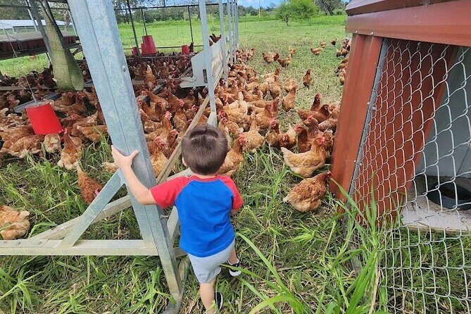 Eco Friendly Farming Tour to Explore Dorado's Most Beautiful Farm - José Luis and the regenerative farming lesson you can picture
