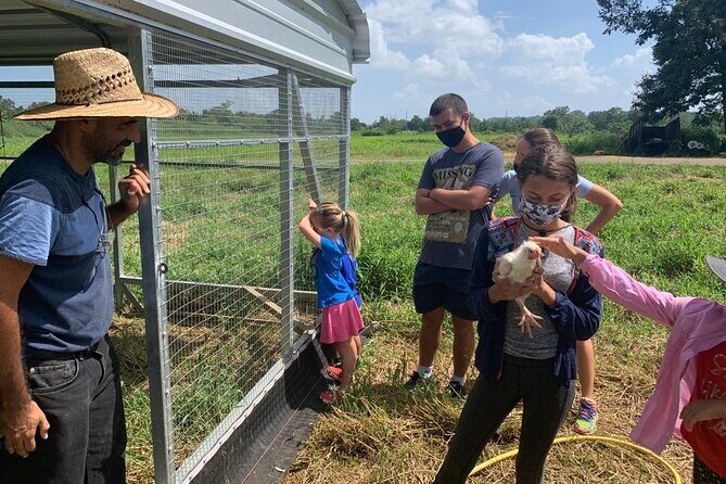 Eco Friendly Farming Tour to Explore Dorado's Most Beautiful Farm - Price and value: $20 for a real working farm visit