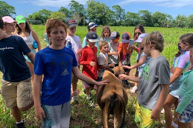 Eco Friendly Farming Tour to Explore Dorado's Most Beautiful Farm - Stop by stop: what you’ll see at each animal area