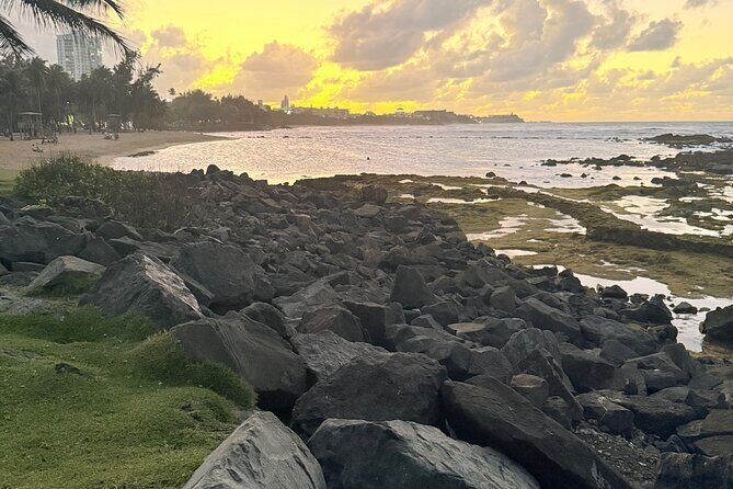 El Yunque Hike, Waterslide & Luquillo Kiosks Food with Transport - The Guide Experience: Multilingual Help and Yatzel With Luffy