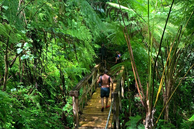 El Yunque National Forest and Luquillo Beach Combo - Key Things I’d Prioritize on This El Yunque and Luquillo Combo