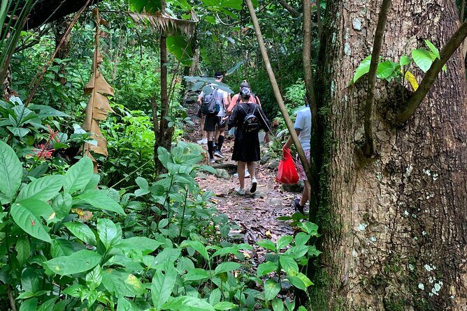 El Yunque National Forest and Luquillo Beach Combo - How This El Yunque and Luquillo Day Trip Works