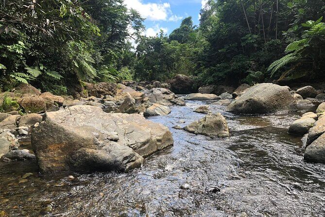 El Yunque National Forest and Luquillo Beach Combo - Mameyes River in El Yunque: Where the Swim Changes the Whole Day