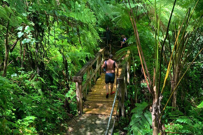 El Yunque National Forest and Luquillo Beach Tour - Key points at a glance