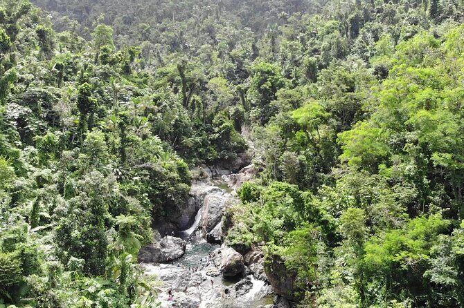 El Yunque National Forest and Luquillo Beach Tour - Puente Roto and Rio Mameyes: where the rainforest gets personal