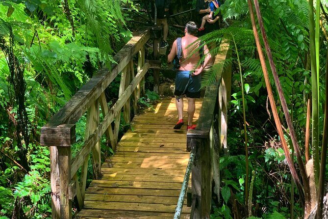 El Yunque National Forest and Luquillo Beach Tour - The river swimming stop: what to expect (and how to prepare)