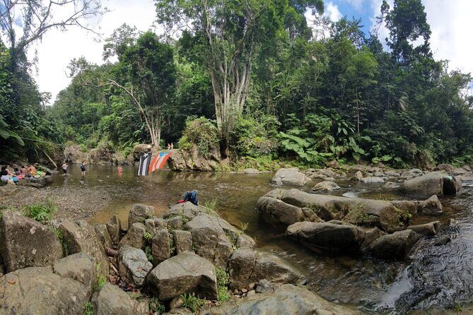 El Yunque National Forest and Luquillo Beach Tour - What you’re really paying for at $79