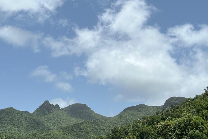 El Yunque National Forest Guided Tour with Transport - Lunch and Souvenir Time: Plan for What’s Included and What Isn’t
