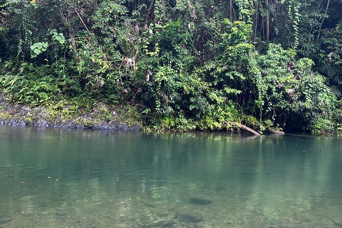 El Yunque National Forest Guided Tour with Transport - How Strenuous Is It, Really? The Honest Middle Ground